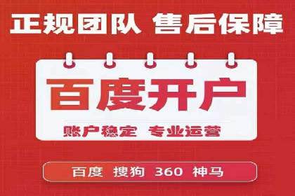 行业领先的SEM推广代运营公司案例集锦